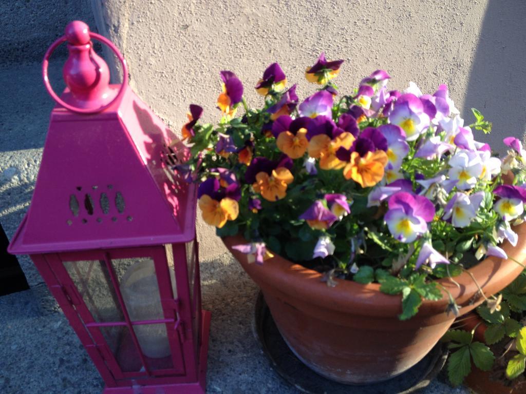 B&B La Vie En Rose Bazylea Zewnętrze zdjęcie